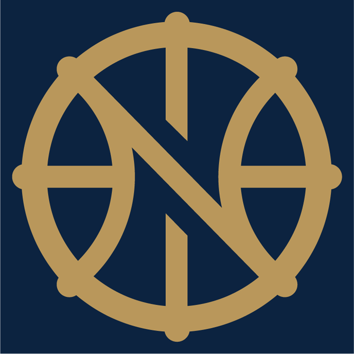 New Orleans Pelicans 2013-Pres Alternate Logo iron on transfers for clothing version 2
